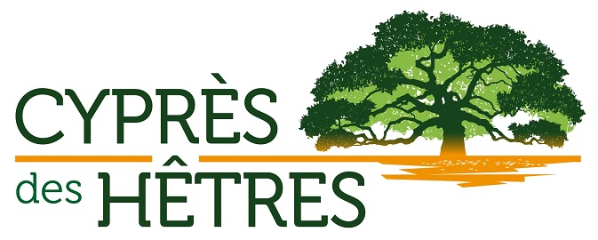 Cyprès des Hêtres